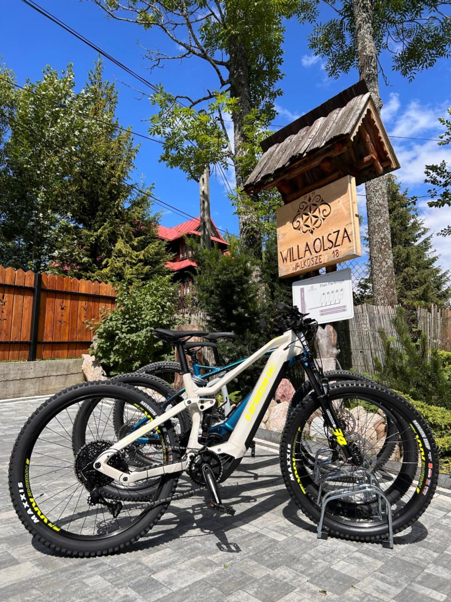 Apartamenty Willa Olsza Wood House & Mountain View & Sauna ザコパネ エクステリア 写真