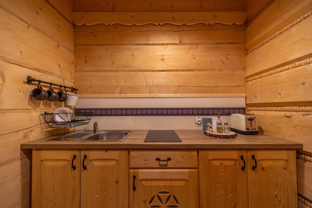Apartamenty Willa Olsza Wood House & Mountain View & Sauna ザコパネ エクステリア 写真
